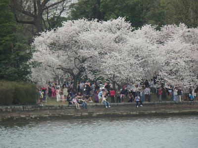 Spring25 (74)