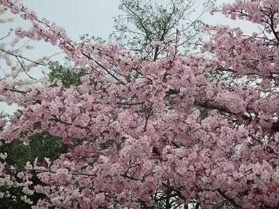 Spring25 (77)