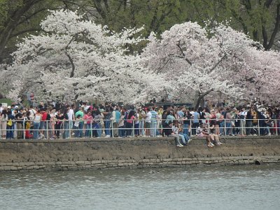 Spring25 (85)