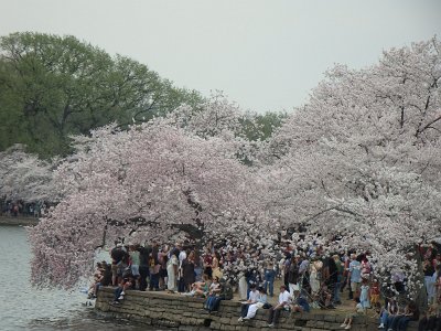Spring25 (87)