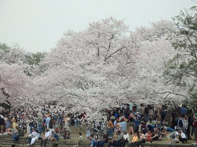 Spring25 (88)
