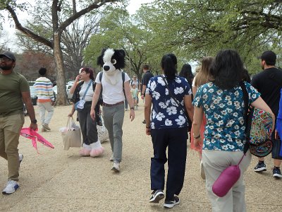 Spring25 (9)