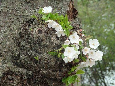 Spring25 (93)