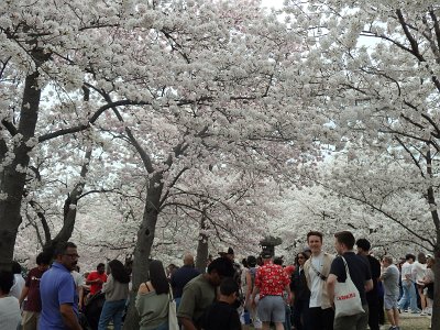 Spring25 (98)