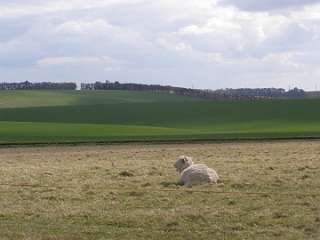 Stonehenge (1)