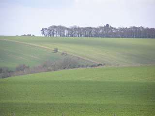Stonehenge (7)