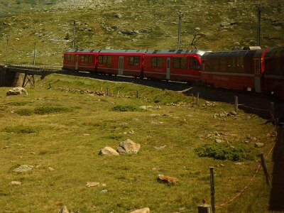 Bernina (487)