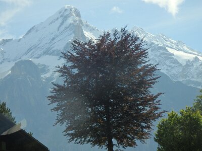 JungFrau (53)