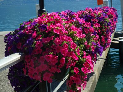 LakeGeneva (122)