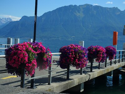 LakeGeneva (159)