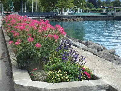 LakeGeneva (35)
