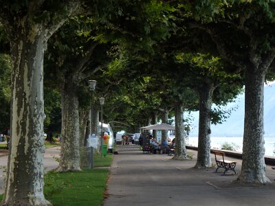 LakeGeneva (49)