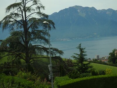 Vevey (895)