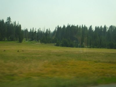 2rtoMontana (1)