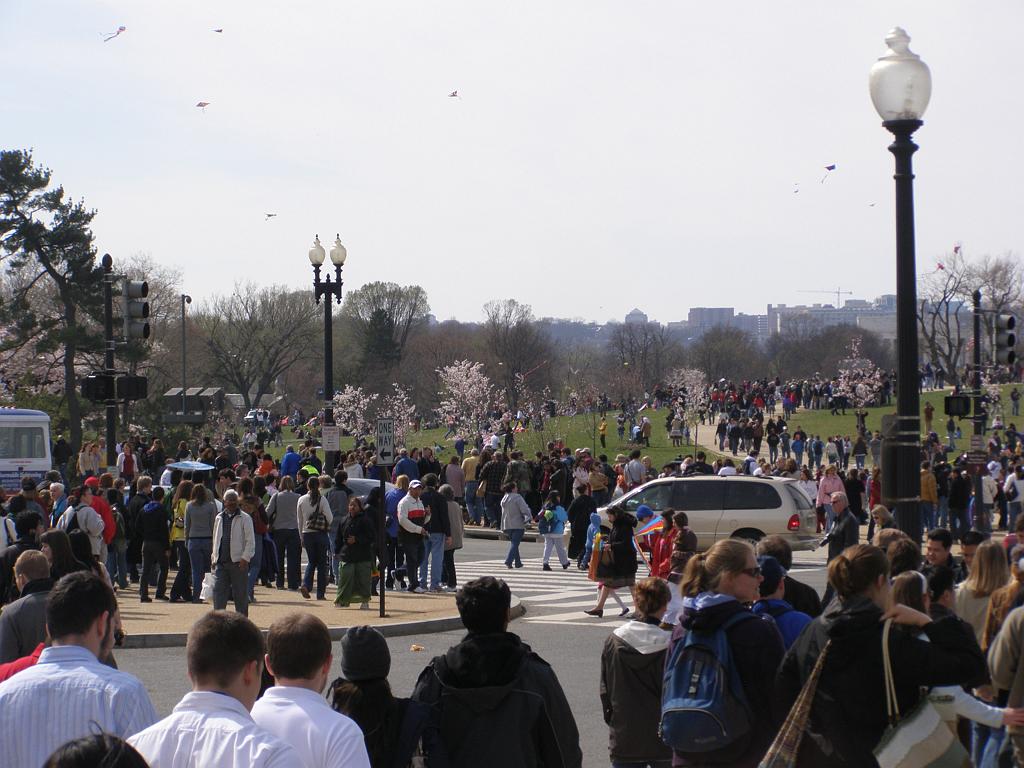 cblossom04.JPG