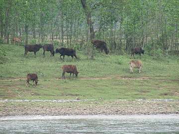 Guilin06 (324)