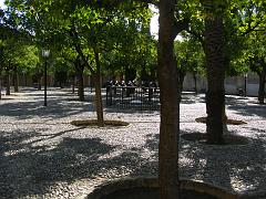 cordoba157