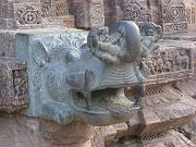 konark81