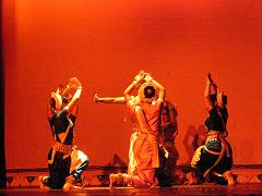 rudrakshya208