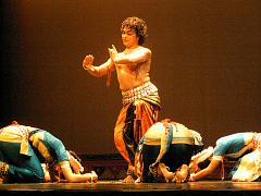 rudrakshya220