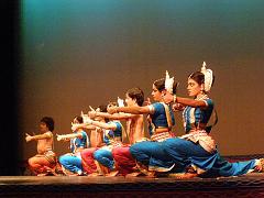 rudrakshya237