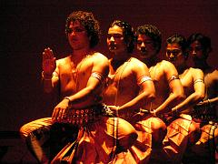 rudrakshya262