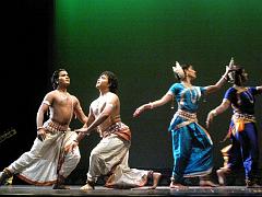 rudrakshya307