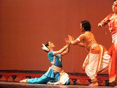 rudrakshya55