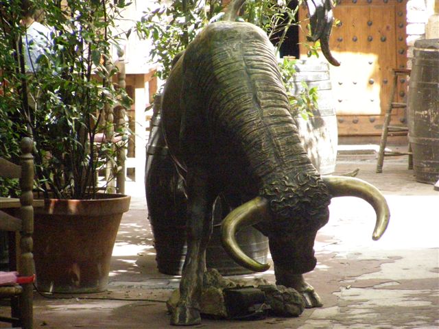 bull