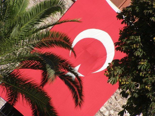 turkey